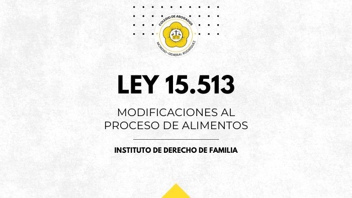 LEY-15 513_11-03-2025